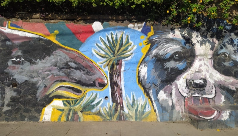 Murales sobre la naturaleza de San Agustín