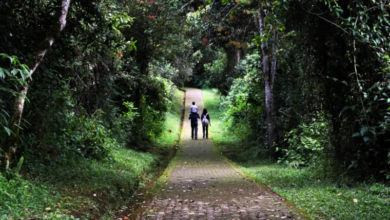 Turistas en San Agustín Huila